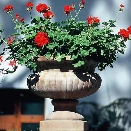 Zi' Teresa 4* Sorrento