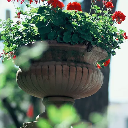 Hotel Zi' Teresa Sorrento