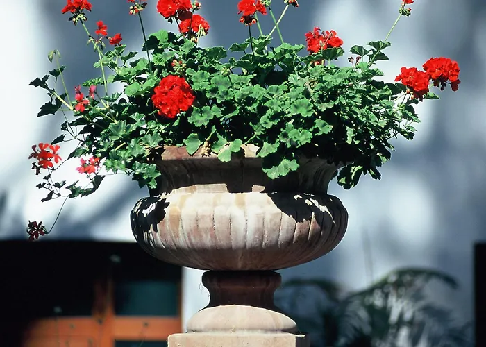 Zi' Teresa 4* Półwysep Sorrentyński